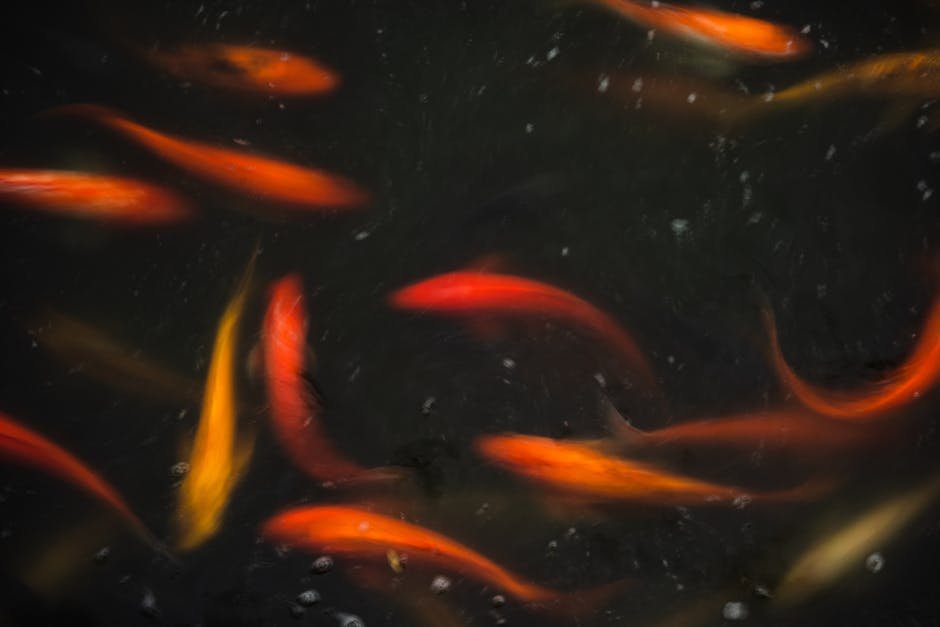Monday Under the Pisces Moon: Navigating Quiet Waters