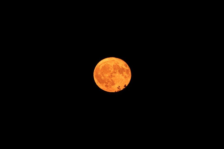June 14, 2026 🌙 Moon in Gemini